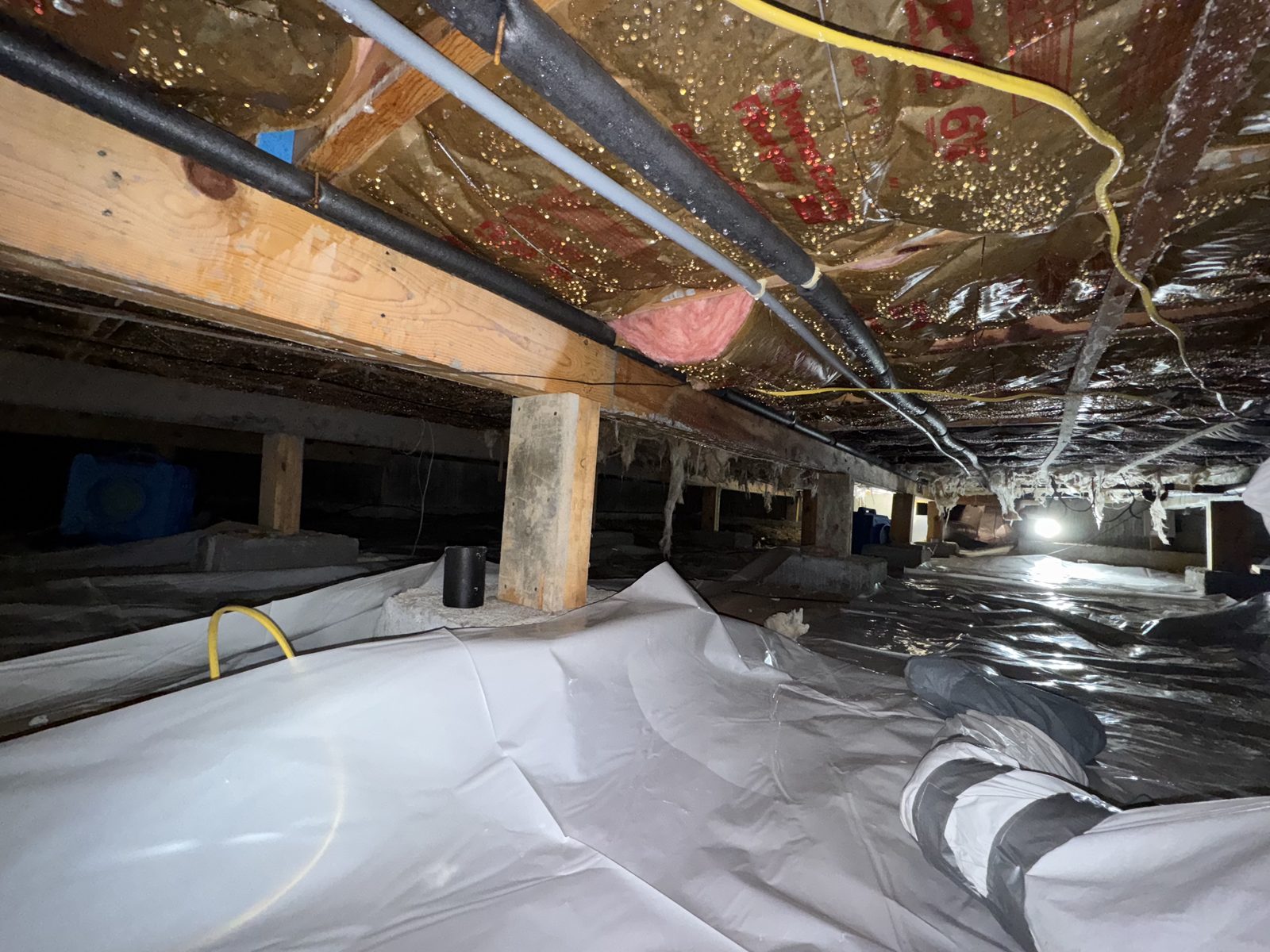 Crawlspace inspection under plastic